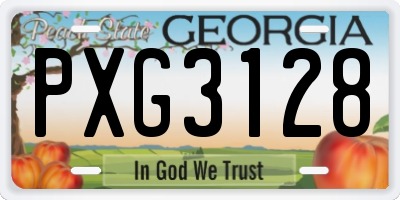 GA license plate PXG3128
