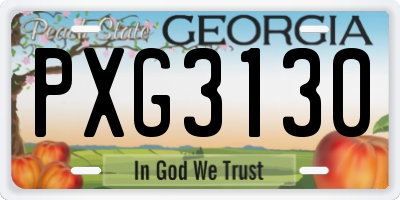 GA license plate PXG3130