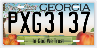 GA license plate PXG3137