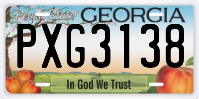 GA license plate PXG3138