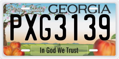 GA license plate PXG3139