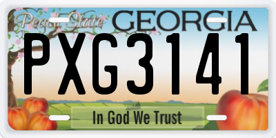 GA license plate PXG3141