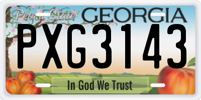 GA license plate PXG3143