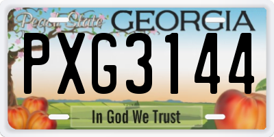 GA license plate PXG3144