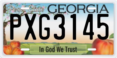 GA license plate PXG3145
