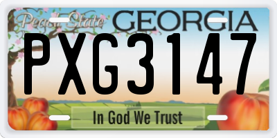 GA license plate PXG3147