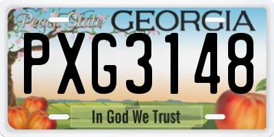 GA license plate PXG3148