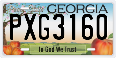 GA license plate PXG3160