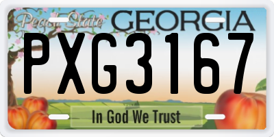 GA license plate PXG3167