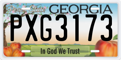 GA license plate PXG3173