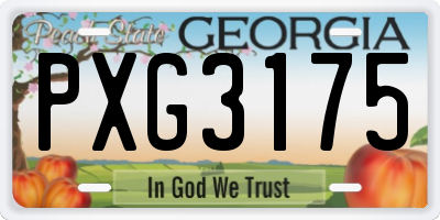 GA license plate PXG3175