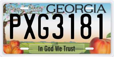 GA license plate PXG3181