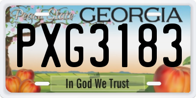 GA license plate PXG3183