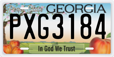 GA license plate PXG3184