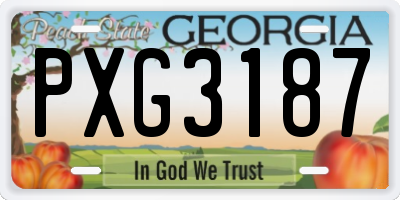 GA license plate PXG3187
