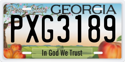 GA license plate PXG3189