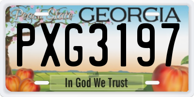 GA license plate PXG3197