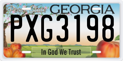 GA license plate PXG3198