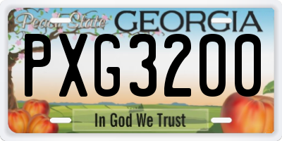 GA license plate PXG3200