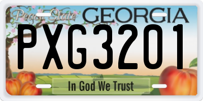 GA license plate PXG3201