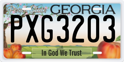 GA license plate PXG3203