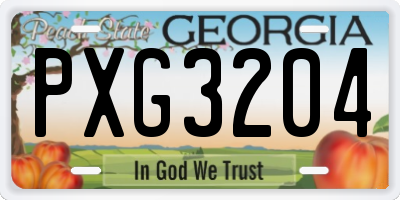 GA license plate PXG3204