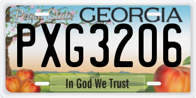 GA license plate PXG3206