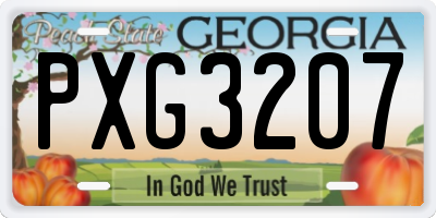 GA license plate PXG3207