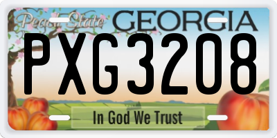 GA license plate PXG3208