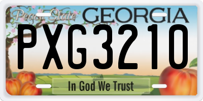 GA license plate PXG3210