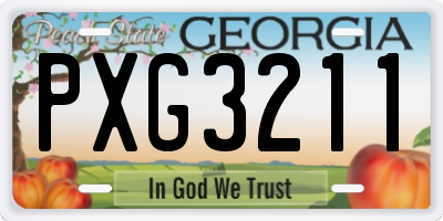 GA license plate PXG3211