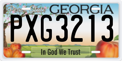 GA license plate PXG3213