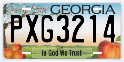 GA license plate PXG3214