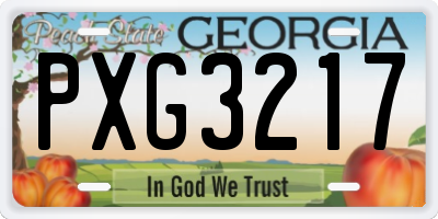 GA license plate PXG3217