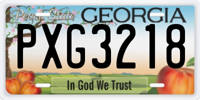 GA license plate PXG3218