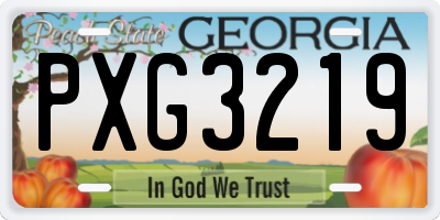 GA license plate PXG3219