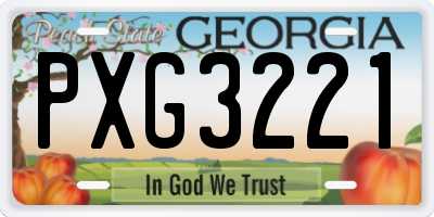 GA license plate PXG3221