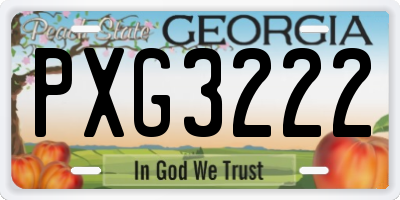 GA license plate PXG3222