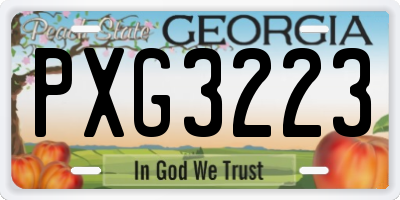 GA license plate PXG3223