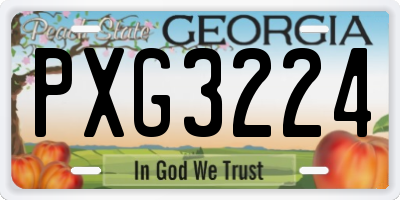 GA license plate PXG3224
