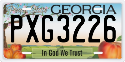 GA license plate PXG3226