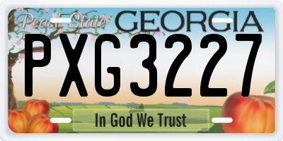 GA license plate PXG3227