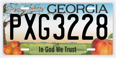 GA license plate PXG3228