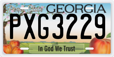 GA license plate PXG3229