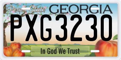 GA license plate PXG3230