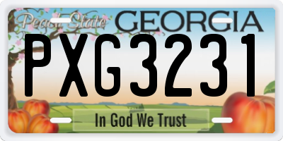 GA license plate PXG3231
