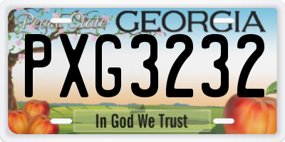 GA license plate PXG3232