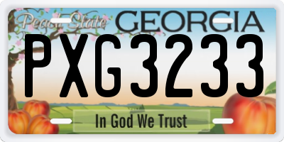 GA license plate PXG3233