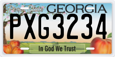 GA license plate PXG3234