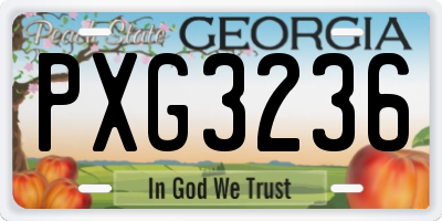 GA license plate PXG3236